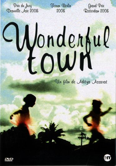 Wonderful Town [DVD] - flash vidéo