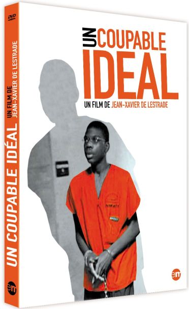 Un Coupable idéal [DVD] - flash vidéo