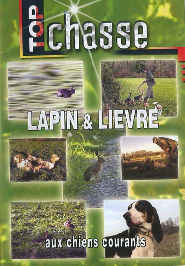 Lapin Et Lievre [DVD] - flash vidéo