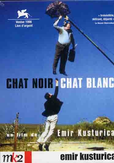 Chat Noir, Chat Blanc [DVD] - flash vidéo