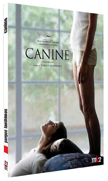 Canine [DVD] - flash vidéo