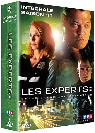 Coffret Les Experts, Saison 11 [DVD] - flash vidéo