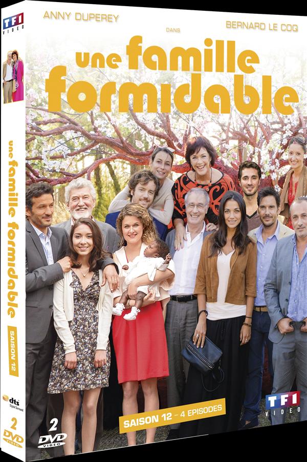 Coffret Une Famille Formidable, Saison 12 [DVD] - flash vidéo