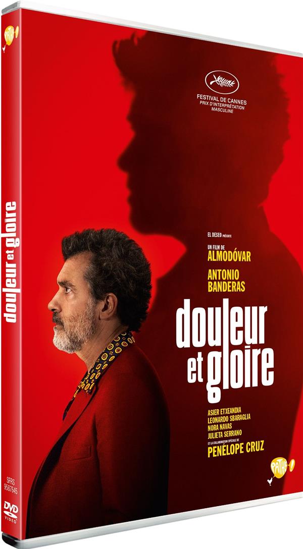 Douleur et gloire [DVD] - flash vidéo