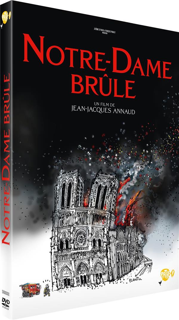 Notre-Dame brûle [DVD] - flash vidéo