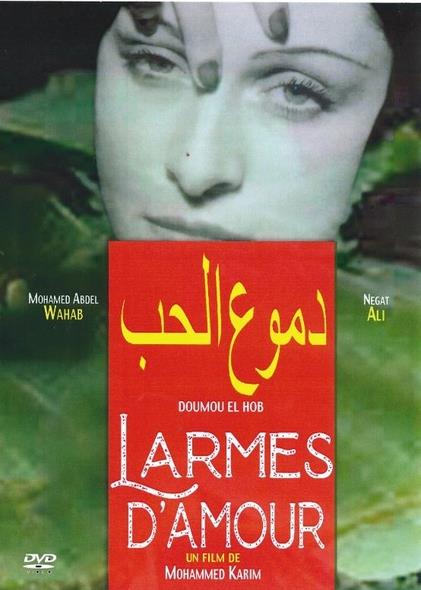 Larmes d'amour [DVD] - flash vidéo
