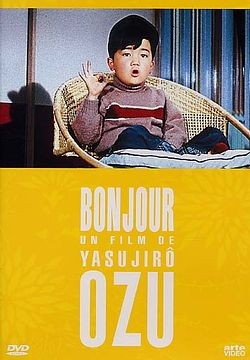 Bonjour [DVD] - flash vidéo