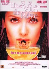 Une Vie De Rêve [DVD] - flash vidéo