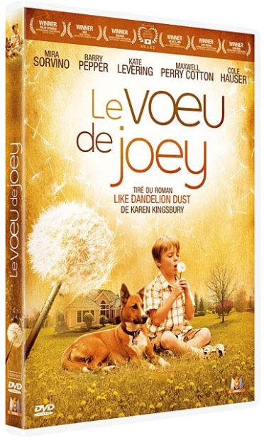 Le Voeu De Joey [DVD] - flash vidéo