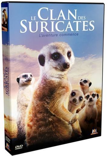 Le Clan Des Suricates, L'aventure Commence [DVD] - flash vidéo