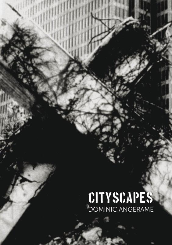 Dominic Angerame - Cityscapes [DVD] - flash vidéo