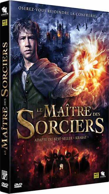 Le Maître Des Sorciers [DVD] - flash vidéo