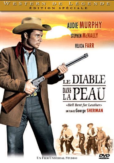 Le Diable dans la peau [DVD] - flash vidéo