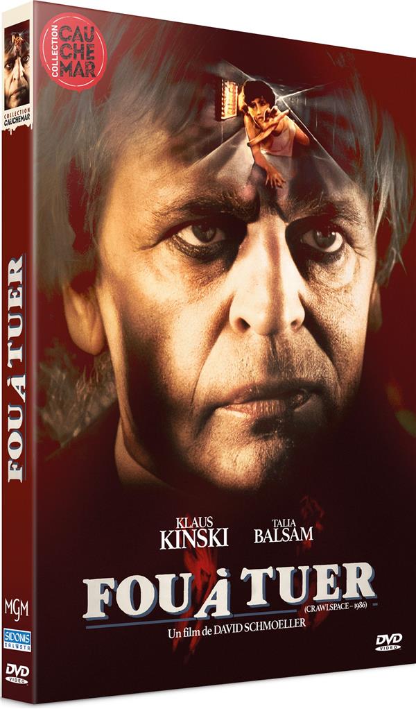 Fou à tuer [DVD] - flash vidéo