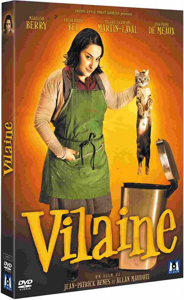 Vilaine [DVD] - flash vidéo