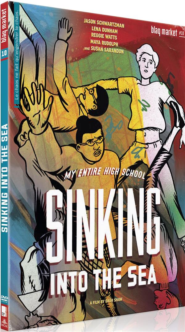 My Entire High School Sinking Into the Sea [DVD] - flash vidéo