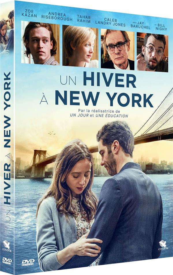 Un hiver à New York [DVD] - flash vidéo