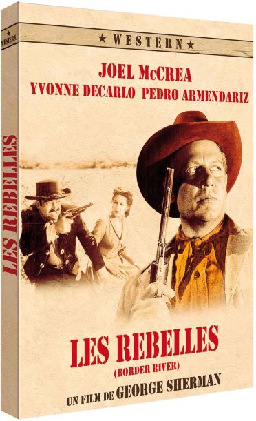 Les Rebelles [DVD] - flash vidéo