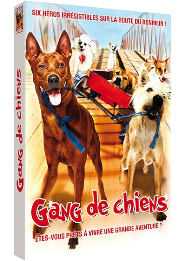 Gang De Chiens [DVD] - flash vidéo