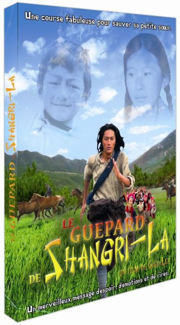 Le Guépard De Shangri-La [DVD] - flash vidéo