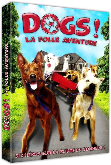 Dogs ! [DVD] - flash vidéo