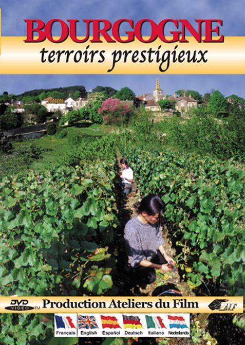 Bourgogne : Terroirs prestigieux [DVD] - flash vidéo