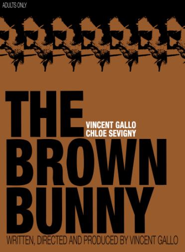The Brown Bunny [DVD] - flash vidéo
