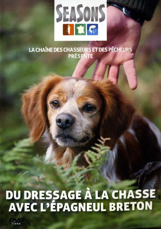 Du Dressage à La Chasse Avec L'épagneul Breton [DVD] - flash vidéo