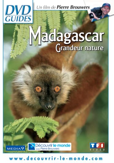 Madagascar - Grandeur nature [DVD] - flash vidéo