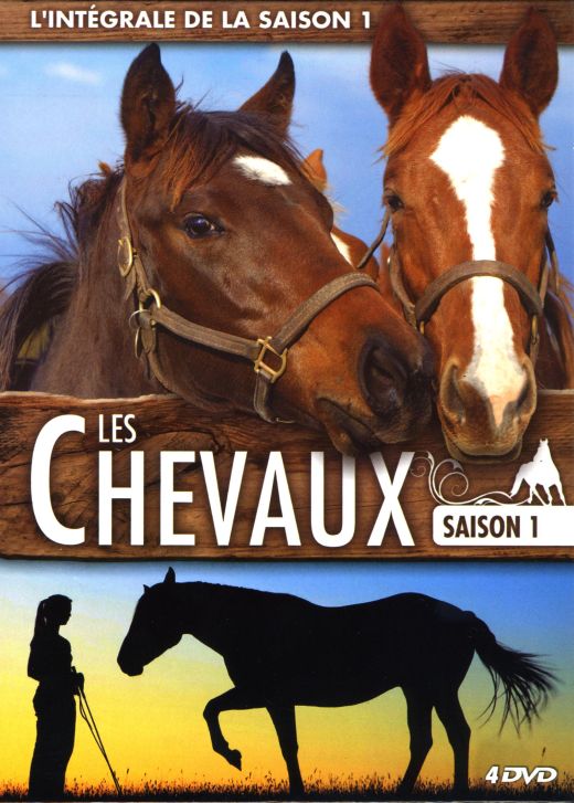 Coffret Les Chevaux, Saison 1 [DVD] - flash vidéo