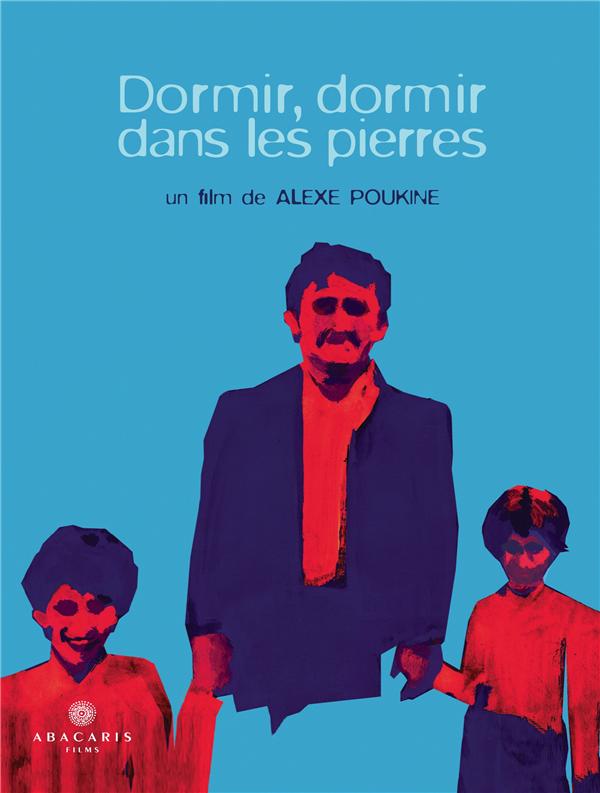 Dormir Dans Les Pierres [DVD] - flash vidéo