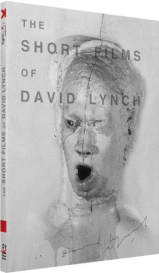 The Short Films Of David Lynch [DVD] - flash vidéo