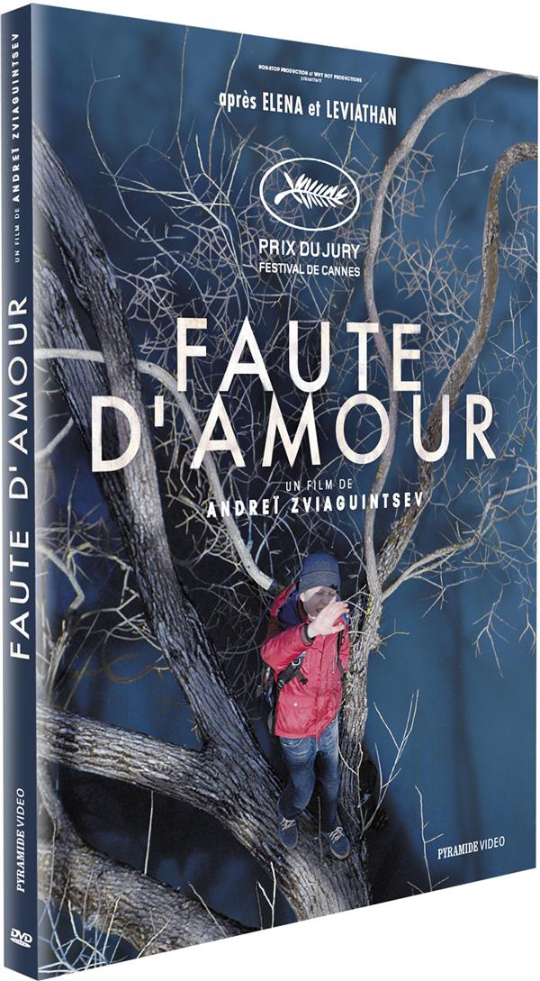 Faute d'amour [DVD] - flash vidéo