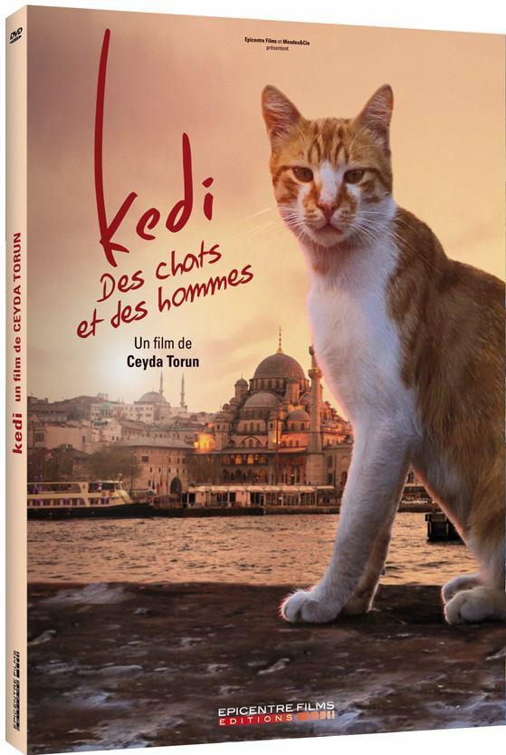 Kedi - Des chats et des hommes [DVD] - flash vidéo