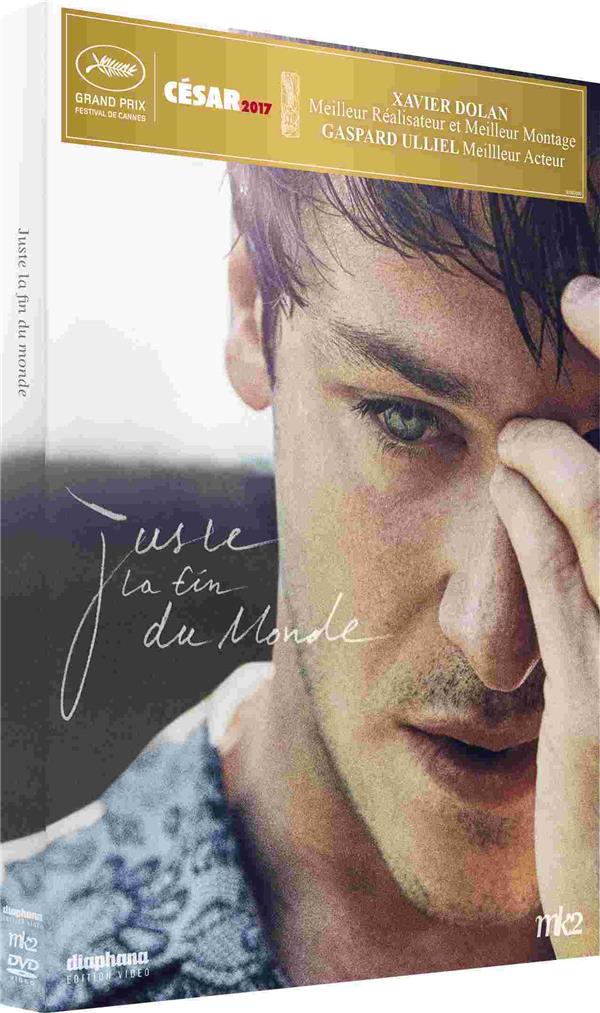 Juste La Fin Du Monde [DVD] - flash vidéo