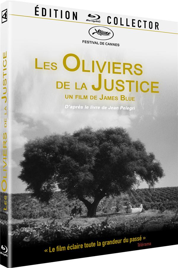 Les Oliviers de la justice [Blu-ray] - flash vidéo