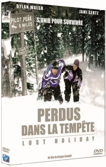 Perdus Dans La Tempête - Lost Holiday [DVD] - flash vidéo