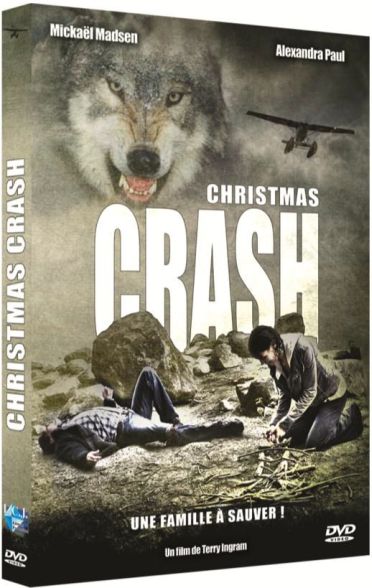 Christmas Crash, Une Famille à Sauver ! [DVD] - flash vidéo