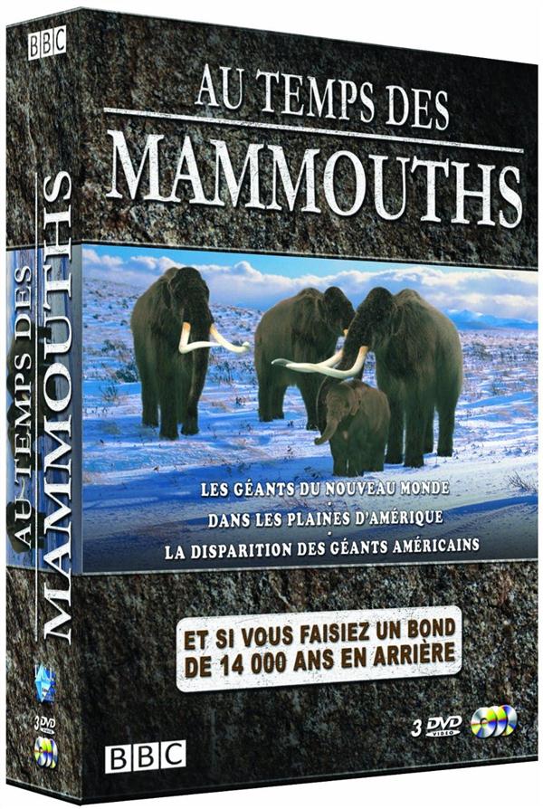 Coffret Au Temps Des Mammouths [DVD] - flash vidéo