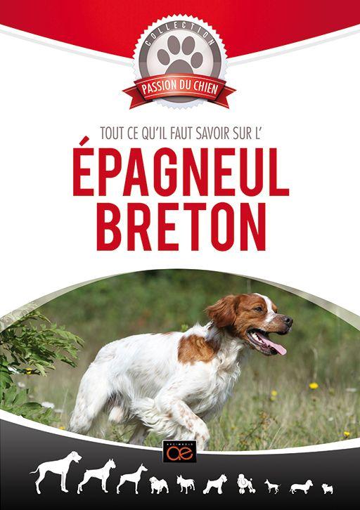 L'Epagneul Breton [DVD] - flash vidéo