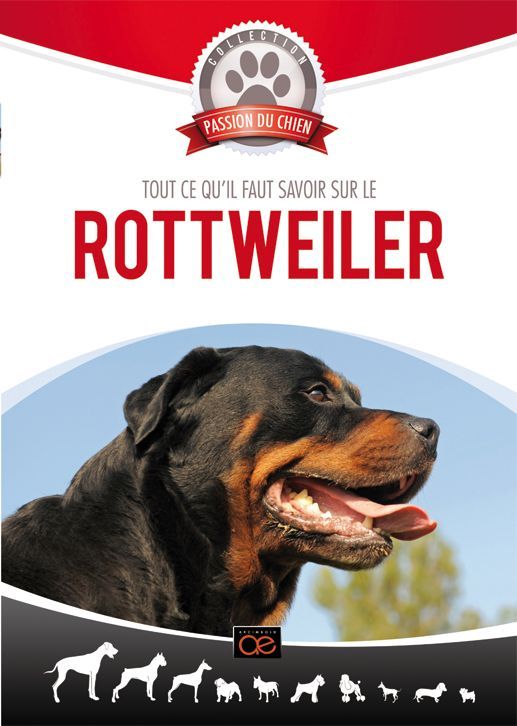 Le Rottweiler [DVD] - flash vidéo