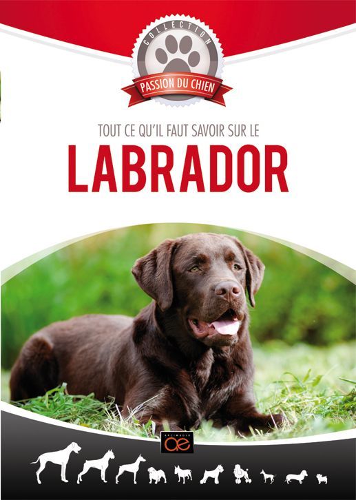 Le Labrador Retriever [DVD] - flash vidéo