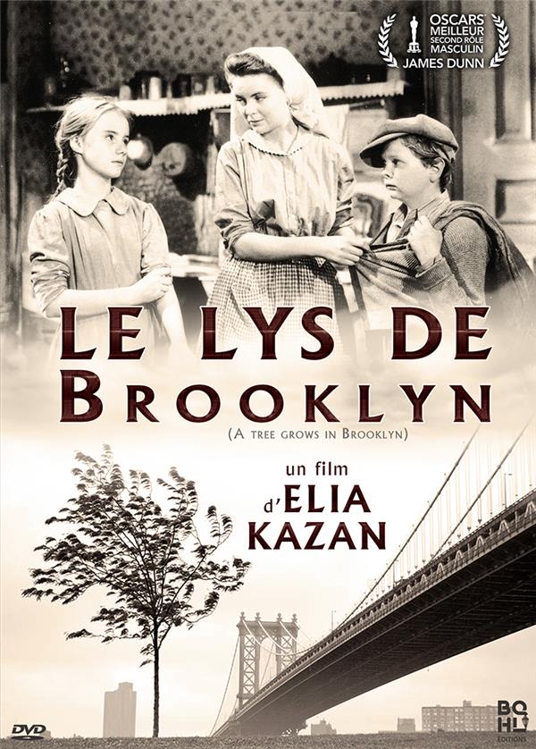 Le Lys De Brooklyn [DVD] - flash vidéo