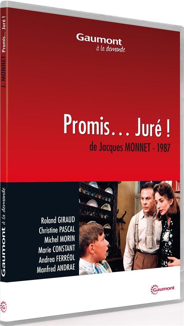 Promis... Juré ! [DVD] - flash vidéo