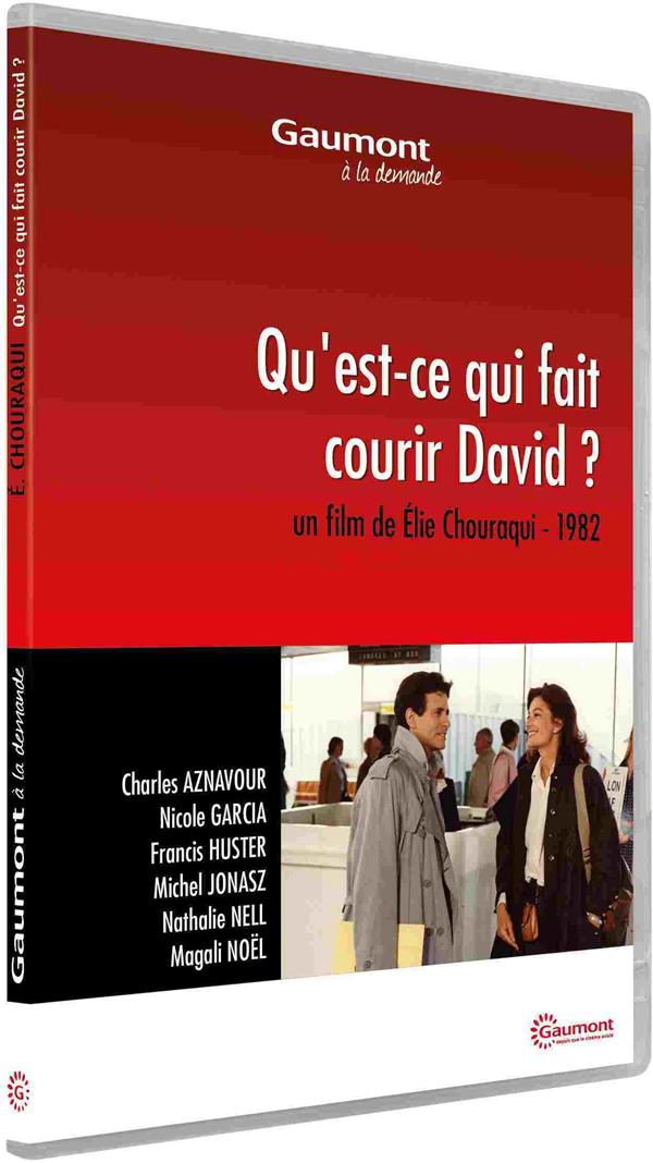 Qu'est-ce qui fait courir David ? [DVD] - flash vidéo