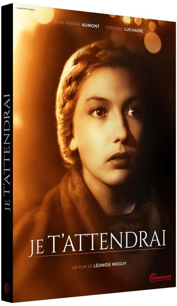 Je t'attendrai [DVD] - flash vidéo