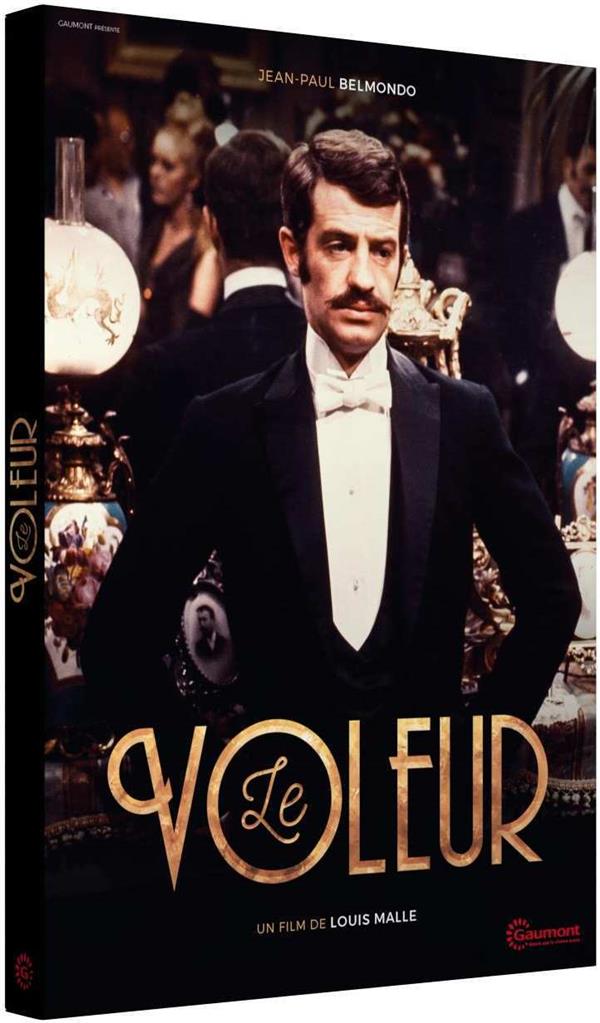 Le Voleur [DVD] - flash vidéo