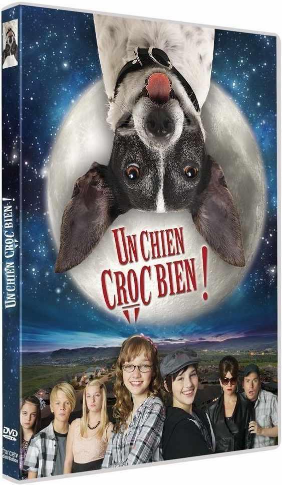 Un Chien Croc Bien ! [DVD] - flash vidéo
