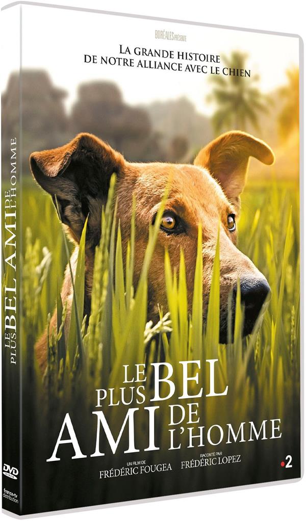 Le Plus bel ami de l'homme [DVD] - flash vidéo