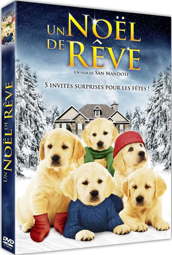 Un Noël De Rêve [DVD] - flash vidéo